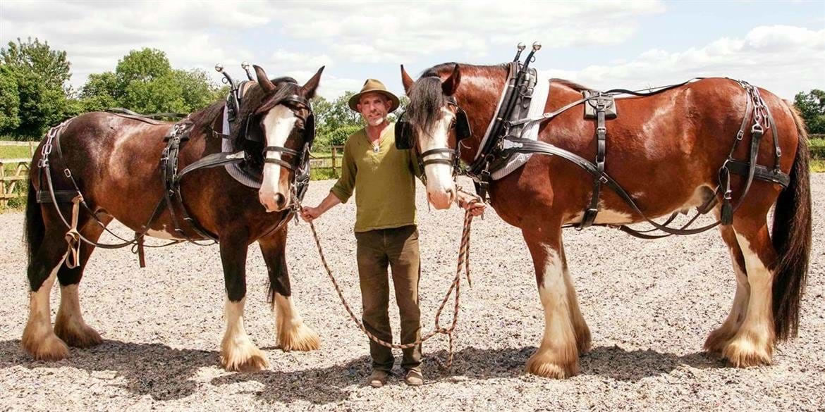 Shire Horse & Cart Ride Experience Shire Horse & Cart Ride Experience